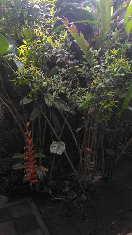 Santa Fe Homestay & Warong Amed Exterior foto